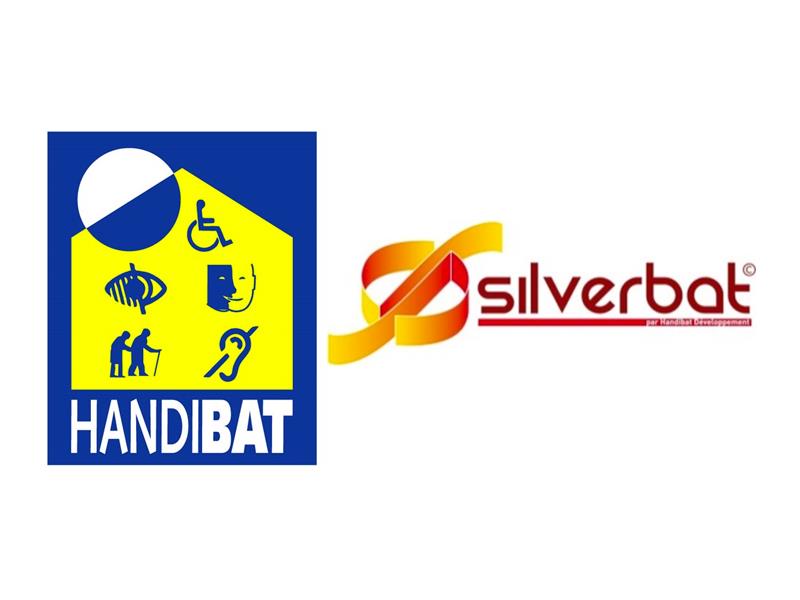 Handibat - Silverbat